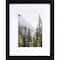 6 Packs: 3 ct. (18 total) Gallery™ Black Frame with Mat by Studio Décor®